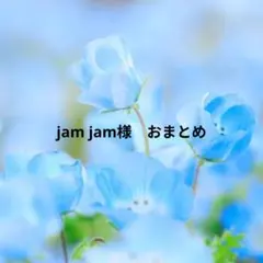 No.242，ネイルシール2枚目以降100円