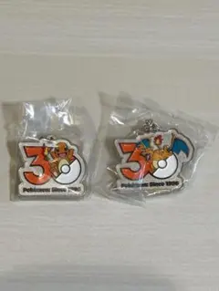 【未開封】ポケモン30周年メタルチャームマスコット ヒトカゲ リザードン