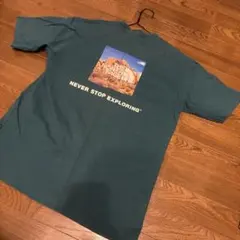 THE NORTH FACE グラフィックTシャツ ダークグリーン