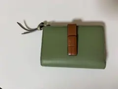 ✨美品✨ ロエベ　折り財布　コンパクトジップウォレット　アナグラム　グリーンのサムネイル