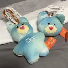 未開封 mojojojo × Nice weather SKY キーホルダー