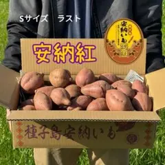 種子島安納いも Sサイズ 3㎏