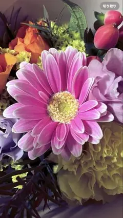 ❁⃘お知らせ❁⃘*.゜