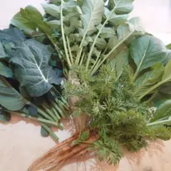 Item thumbnail for item 811c54a3-0c32-475c-a40a-e24acaa06695