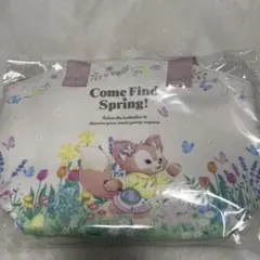 ダッフィー＆フレンズ　カム・ファインド・スプリングスーベニアランチケース