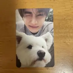 ハオ　ALL デジパ 封入 トレカ レオ 犬 ゼベワン never say