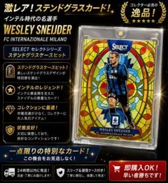 Panini Select Wesley Sneijder インテル