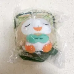 2018ピカピカバックのリュックに入るモクロー タグなし ポケモンセンター限定 ピカピカバッグ 2018 ぬいぐるみ モクロー
