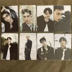 stray kids PLATFORM 8枚セット doit