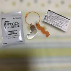 犬記録 INUKIROKU ナツパンダ ワイヤーアクリルチャーム