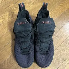 Nike LeBron 15 Basketball Shoes US11