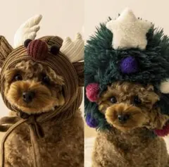 Item thumbnail for item 6d95f3ac-6e5e-4b5f-90bd-01e4708df987