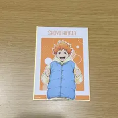ハイキュー!! 日向翔陽 ヨーショー 缶バッジ クリアカード 特典 - メルカリ