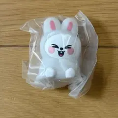 SKZOO ライトマスコット　スキズ　ガチャ　リービット　リノ