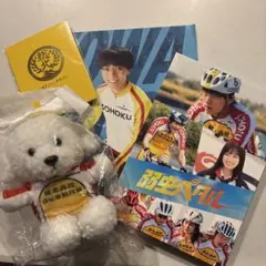 弱虫ペダル 映画 DVD・パンフレット・生徒手帳・犬マスコットセット　永瀬廉