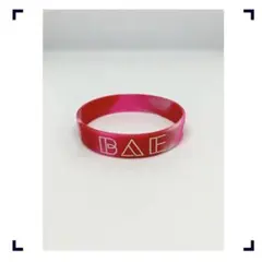 RADWIMPS ラババン キーホルダー ベルト ミサンガ など13個セット shop.RW-EC-0243.