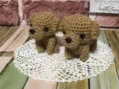 トイプードルの編みぐるみ×ラウンド型のミニドイリー