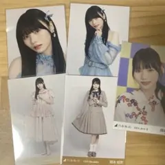 乃木坂46 生写真 岡本姫奈 コンプ 12th anniversary 12周年 - メルカリ