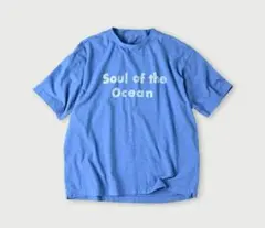 2026年最新】45R カラー：ブルー系 レディース 半袖(Tシャツ) Tシャツ