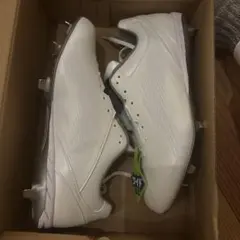 Item thumbnail for item 8af09106-a6d9-4659-a8ac-265a59d75b47