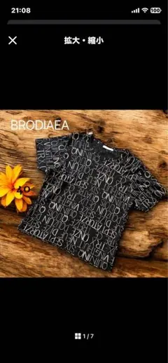 【BRODIAEA】ブローディア　Tシャツ　カットソー　40 総柄プリントのサムネイル