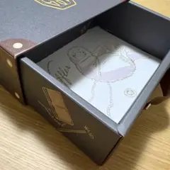 ファンタスティックビースト 箱のみ 小物入れ 二フラー トランク型 USJ