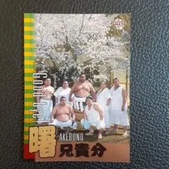 Item thumbnail for item 3d49d00d-74eb-4214-a0f7-0a4fb04f21d1