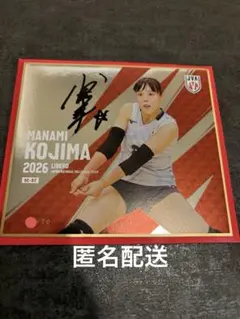 関菜々巳 バレーボール女子日本代表 トレーディングmini色紙 - メルカリ