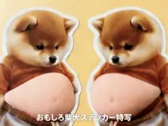 2枚　おなかシール　柴犬　ぷにぷにシール　ぷくぷくシール　３D　立体　シール帳