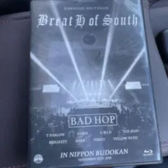 2026年最新】breath of southの人気アイテム - メルカリ