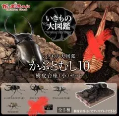 いきもの大図鑑 かぶとむし10 ガシャポンオンライン版 樹皮台座付き　4種　③