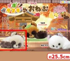 たぬぽんぽん ST ぬいぐるみ 全4種 コンプリート たぬき 17センチ