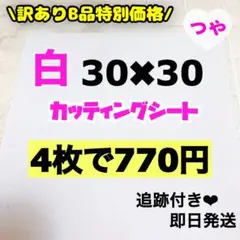 Item thumbnail for item 3f92173a-040f-4815-858b-ca0b1d1dc4b3