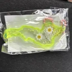 琵琶湖キーホルダー　マーガレット　1つ