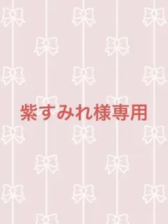 紫すみれ様専用‼️他の方はご購入できません‼️