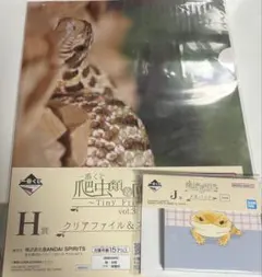一番くじ　爬虫類＆両生類　クリアファイル　ステッカーセット　メモパッド