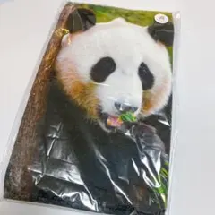 アドベンチャーワールド 彩浜バスタオル ★新品・未開封 2025年最新】アドベンチャーワールド タオルの人気アイテム - メルカリ