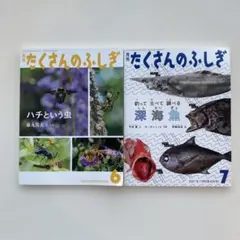 たくさんのふしぎ 2021年6・7号 セット