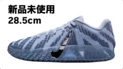 NIKE JA 3 EP COBALT BLISS 28.5cm