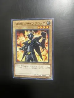 即日発送！ゴキ⚪︎リ　デッキ　遊戯王　害虫　ブラックアイアンG シャインブラック 即日発送！ゴキ⚪︎リ デッキ 遊戯王 害虫 ブラックアイアンG