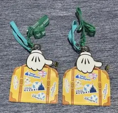 ディズニー バケーションパッケージ パスケース チケットホルダー ミッキー