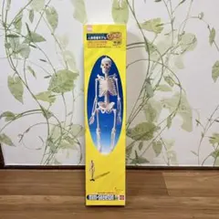 Item thumbnail for item a7698679-1c01-4004-ab6d-409f8f2e8622