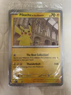 リーリエ　10枚　イギリスロンドン自然史博物館ピカチュウPikachu リーリエ様 専用 10枚 イギリスロンドン自然史博物館ピカチュウPikachu
