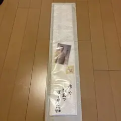 Item thumbnail for item 8dec153d-5b5e-4e8f-baa4-f6e06d1dec84