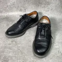 フットジョイ ゴルフシューズ 25cm ブラック