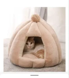 Item thumbnail for item 59605f34-a3a4-4481-b440-6397a30f8cda