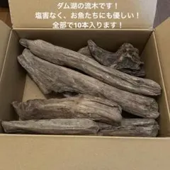 【ダム湖】素朴な流木10個おまとめ　塩害無し