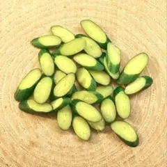 2025年最新】ミニチュアきゅうりの人気アイテム - メルカリ