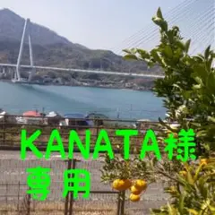 KANATA様専用です
