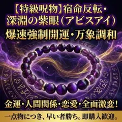 特級呪物S｜金運覚醒・現実逆転ブレスレット｜人生を変えるブレスレット 特級呪物】強制金運覚醒×悪縁断絶×豪運炸裂 人生を作り変える転換